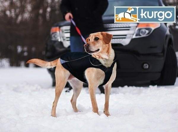 Abrigo impermeable para perros North Country con luz LED de seguridad