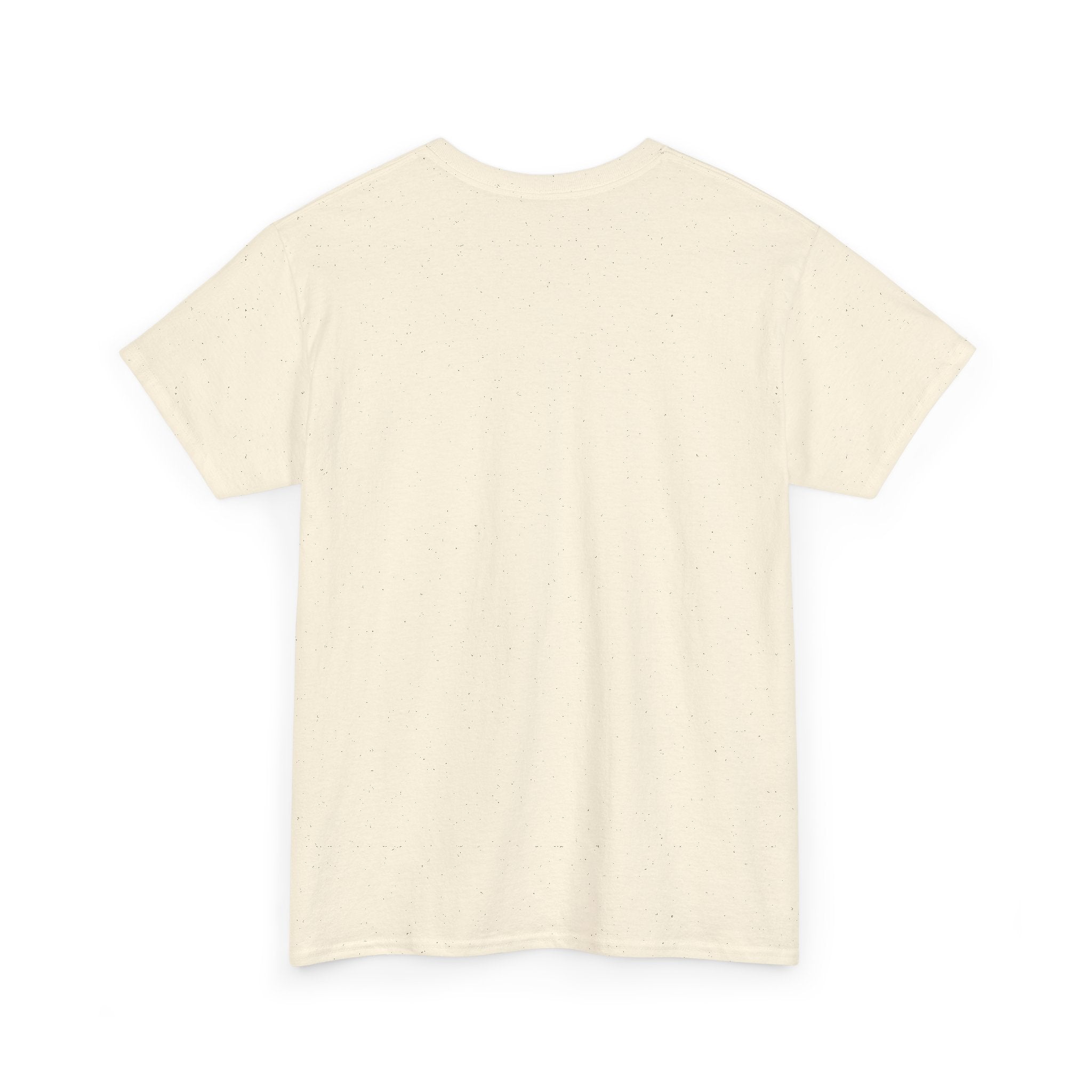 Nurse T‑Shirt — “I’m a Nurse I Don’t Argue I Just Explain Why I’m Right” Funny Scrub Tee