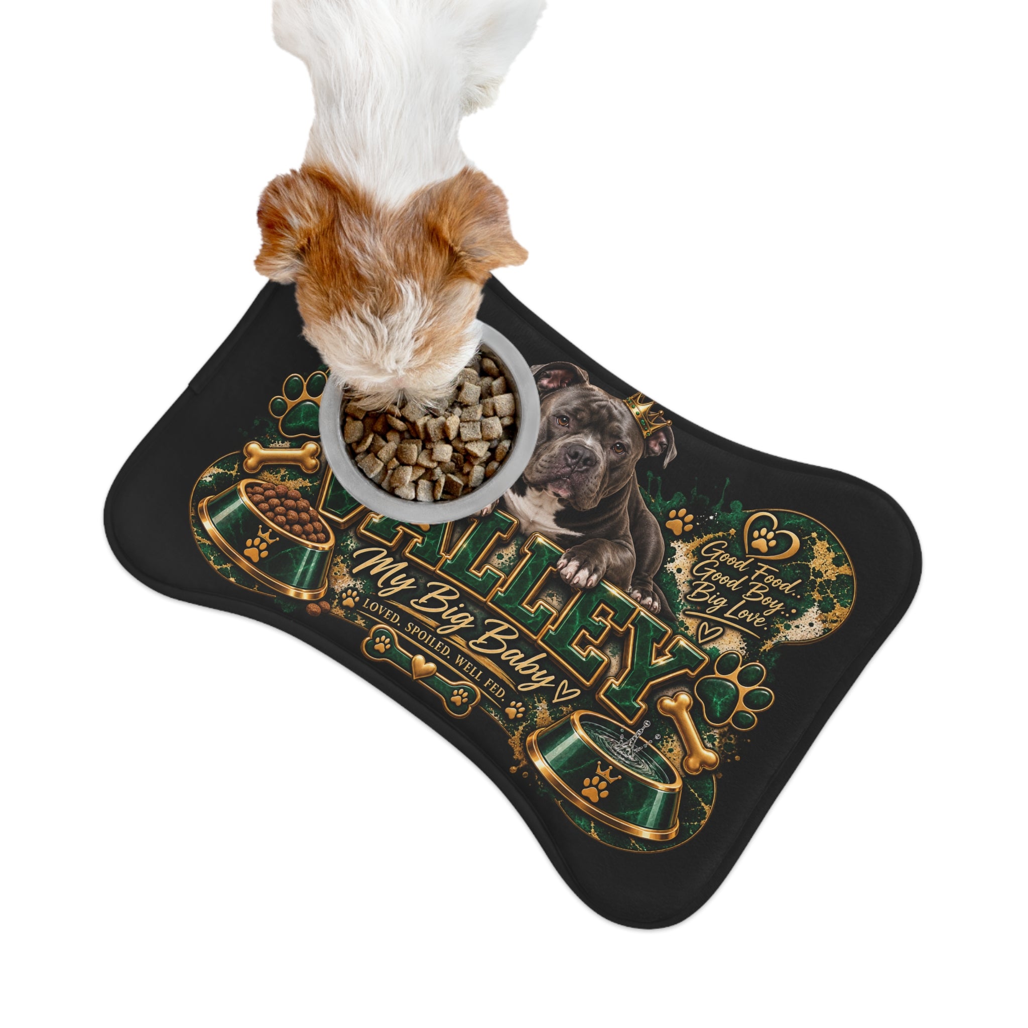 Personalized Dog Feeding Mat — “Valley My Big Baby” Decorative Pet Placemat