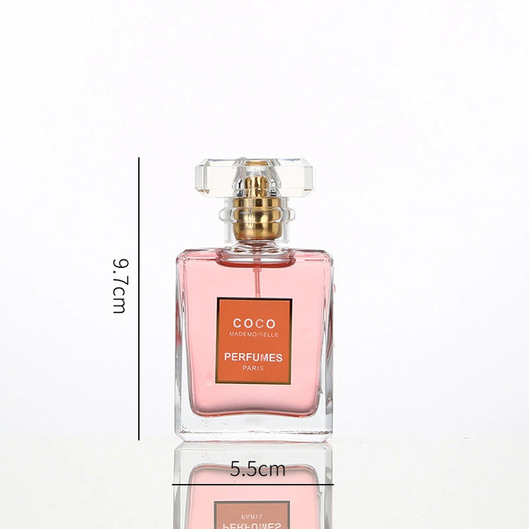 Refillable Clear Glass Perfume Bottle – 30ml, 50ml & 100ml