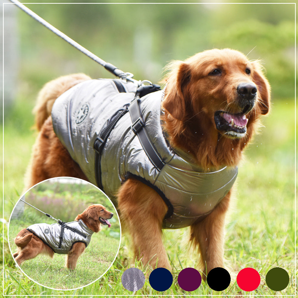 Waterproof Dog Coat with Harness — 7 Colors, Sizes XS–4XL