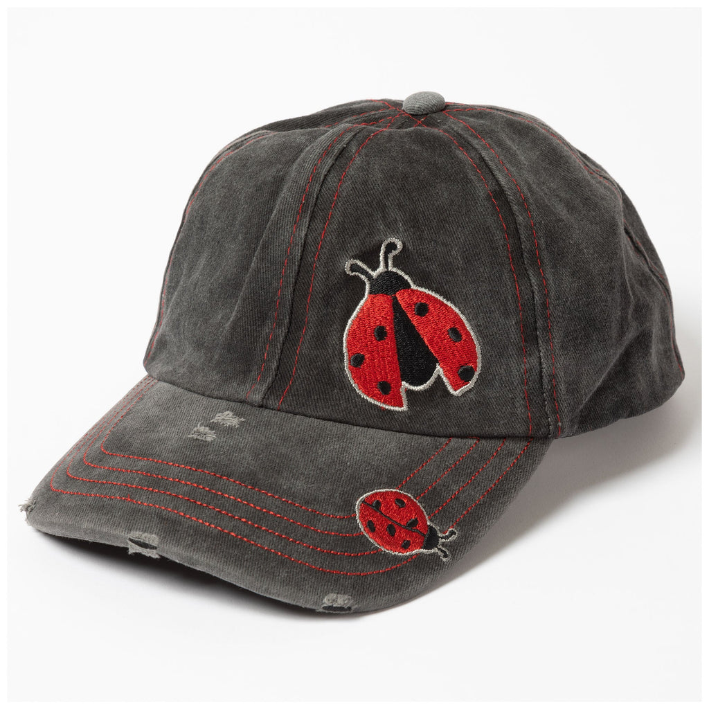 Gorra de béisbol Amigos Aleteadores
