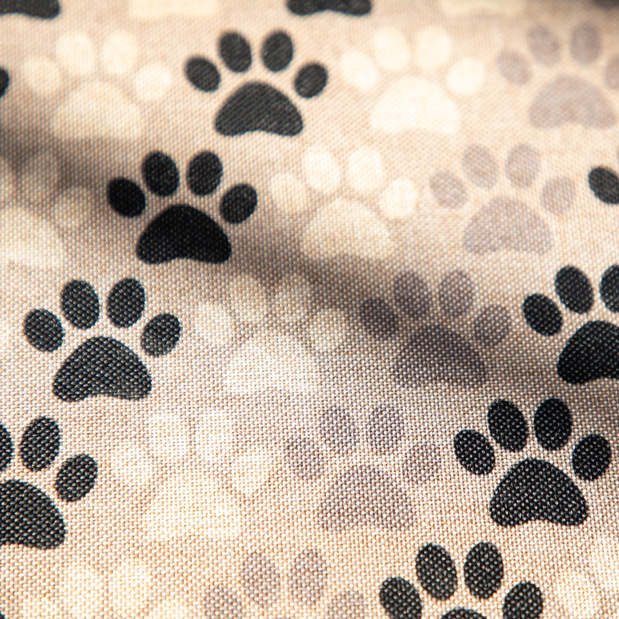 Alfombra de Pasillo Diagonal Paws