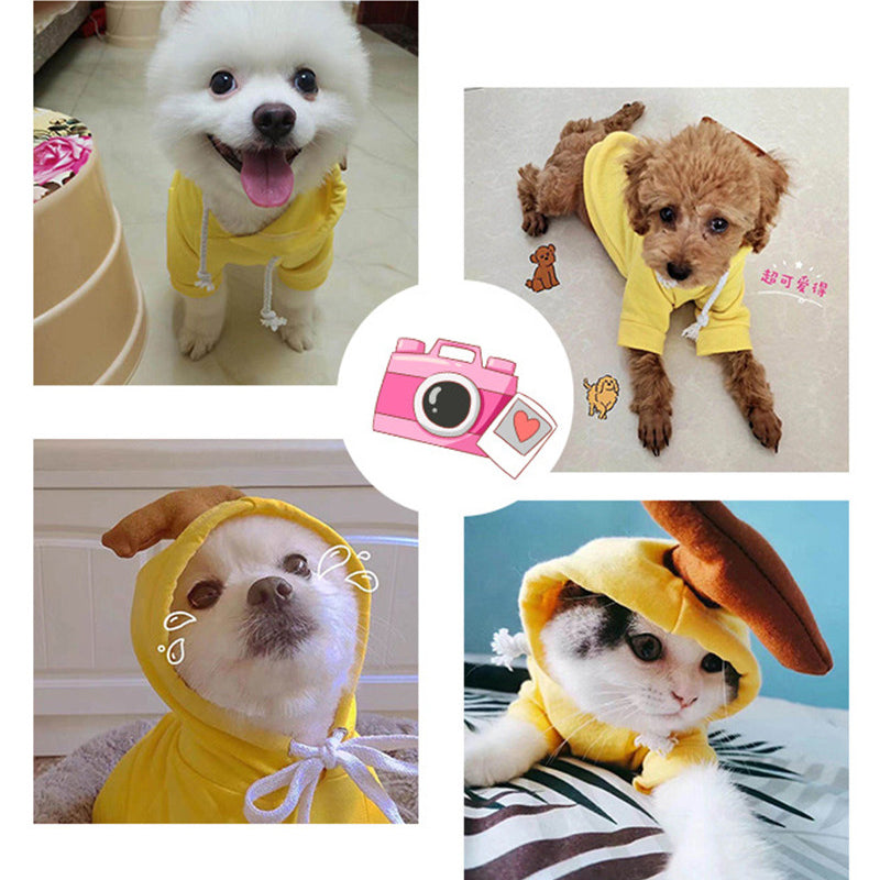Sudadera con capucha para perro «Cute Fruit» — 7 estilos, tallas XS–2XL