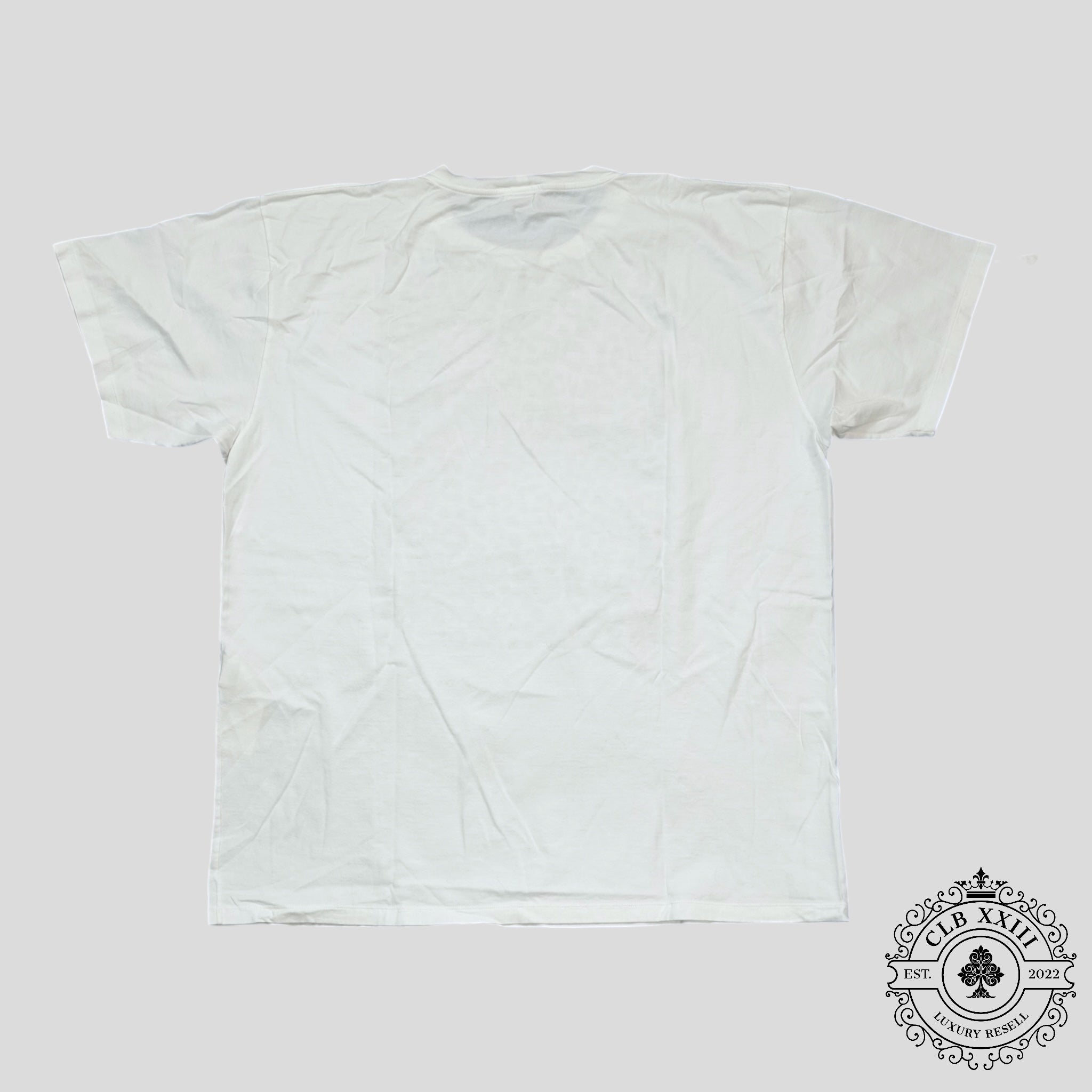Celine Homme Logo Leopard Print Tee in White
