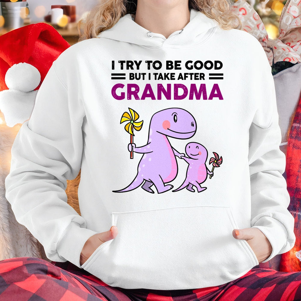 TRY TO BE GOOD BUT I TAKE AFTER GRANDMA- For granddaughter T shirt NGHL00 (SKU07-87)