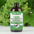 Clorofila líquida orgánica | Fórmula desintoxicante de alfalfa y morera blanca