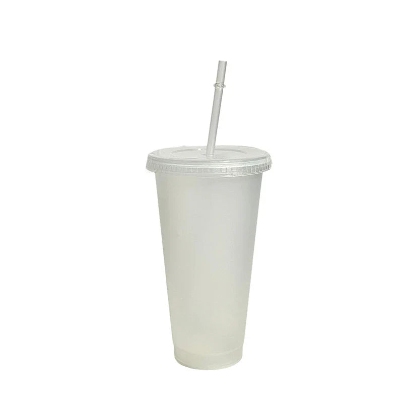 710ml Color Changing Straw Mug | Insulated Reusable Plastic Cup with Lid