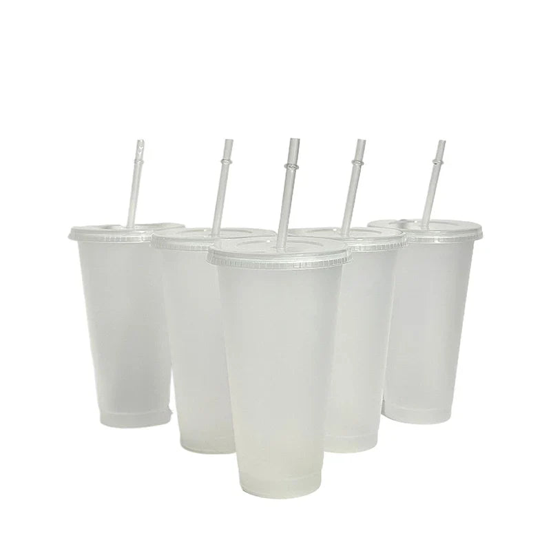 710ml Color Changing Straw Mug | Insulated Reusable Plastic Cup with Lid