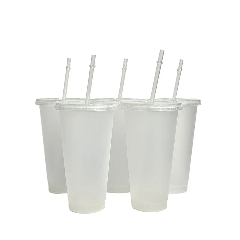 710ml Color Changing Straw Mug | Insulated Reusable Plastic Cup with Lid