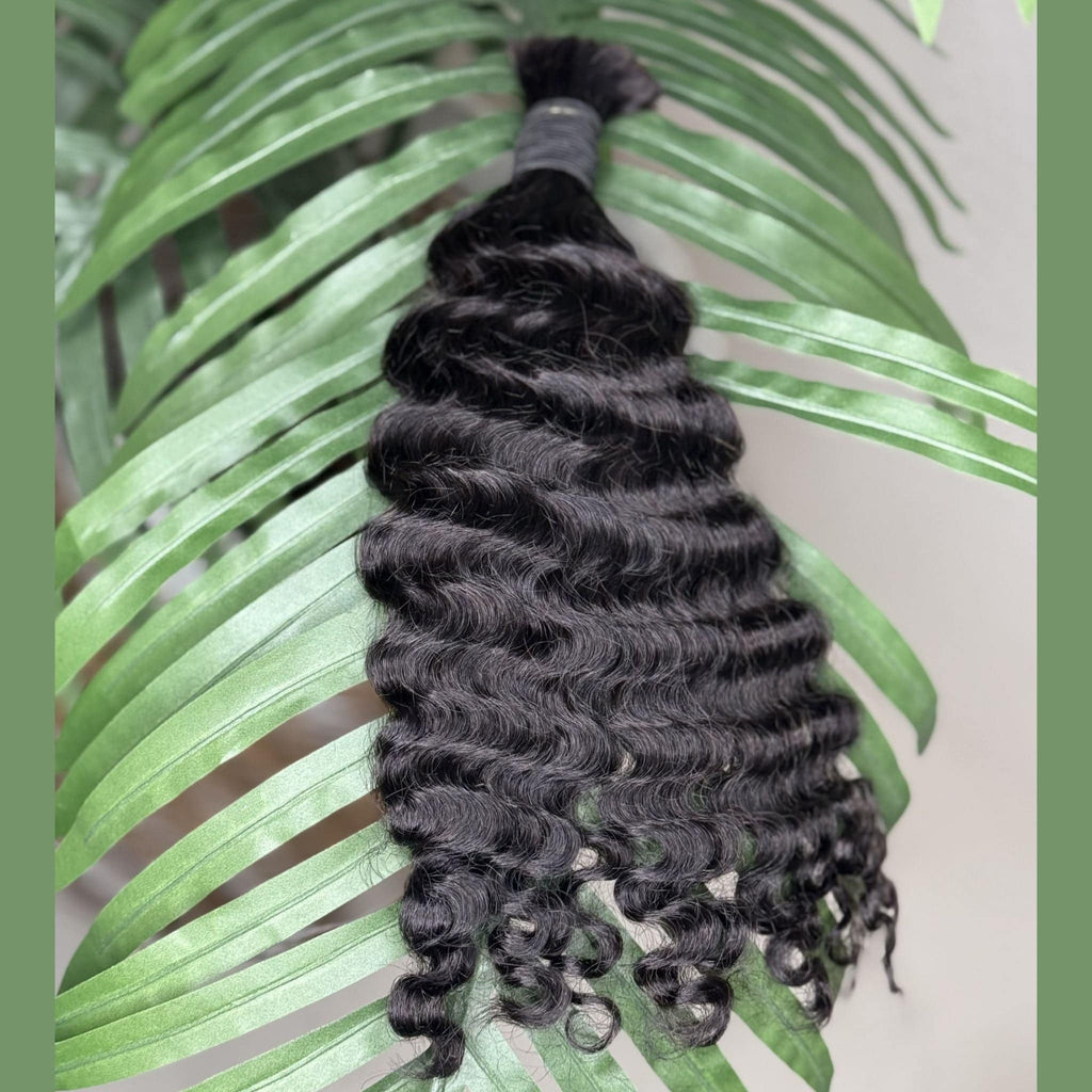 Burmese rizado