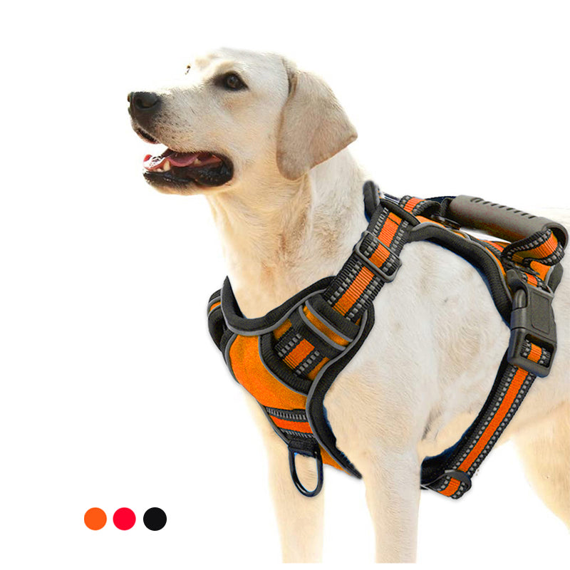 Chaleco Reflectante Antijaloneos para Perros — Opciones Individuales y en Set
