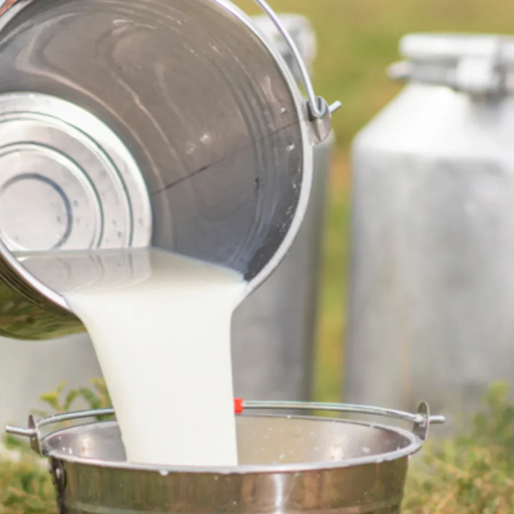 Jabón en barra artesanal de sebo y leche de cabra sin fragancia con sebo puro + miel