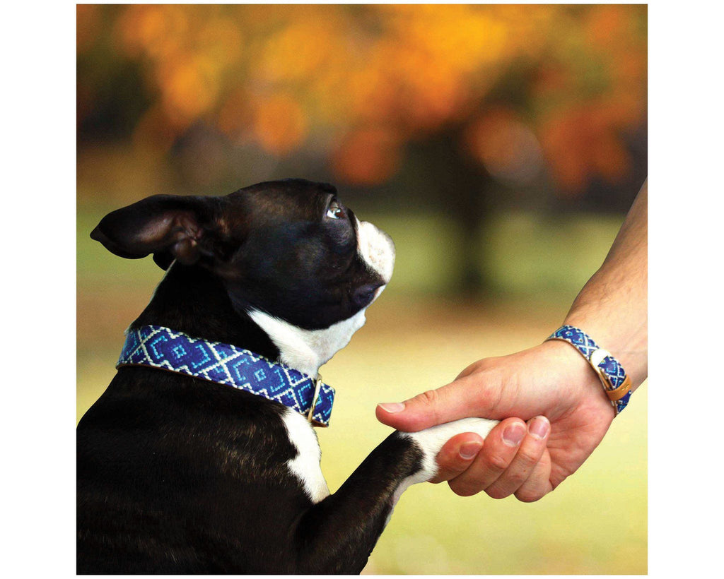 Set de collar y pulsera para amigos Mucky Pup